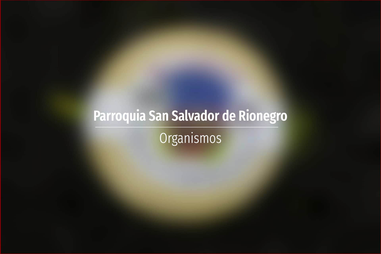 Parroquia San Salvador de Rionegro