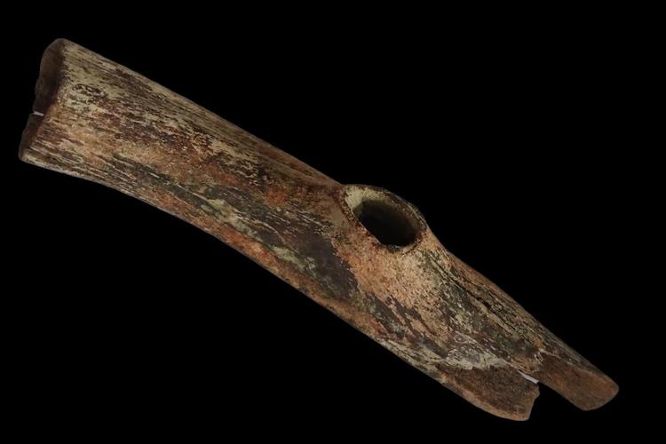 Stone Age antler axe found in the Vistula River Near Warsaw