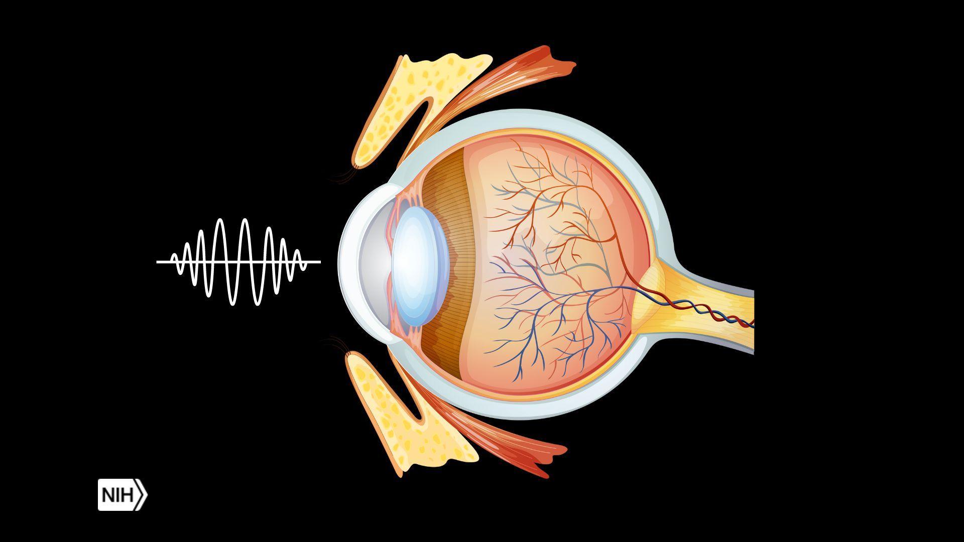 Eye Health and Frequency Healing: A Natural Approach to Vision Care