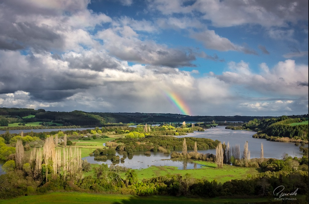 Humedales de Trumao – App Chiloé Turismo en la Región de Los Lagos en Osorno, Osorno, Sur de Chile