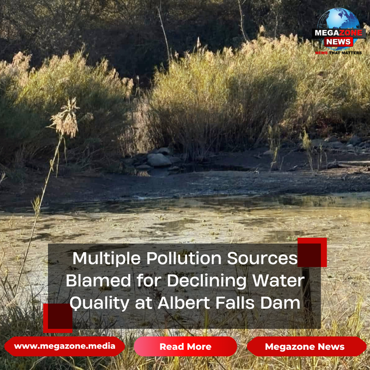 Multiple Pollution Sources Blamed for Declining Water Quality at Albert Falls Dam