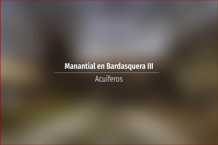 Manantial en Bardasquera III