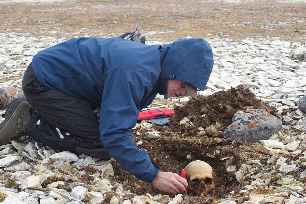 DNA analysis identifies four more sailors from Franklin's doomed arctic expedition