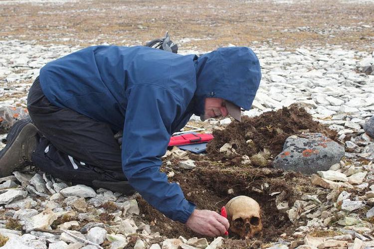 DNA analysis identifies four more sailors from Franklin's doomed arctic expedition