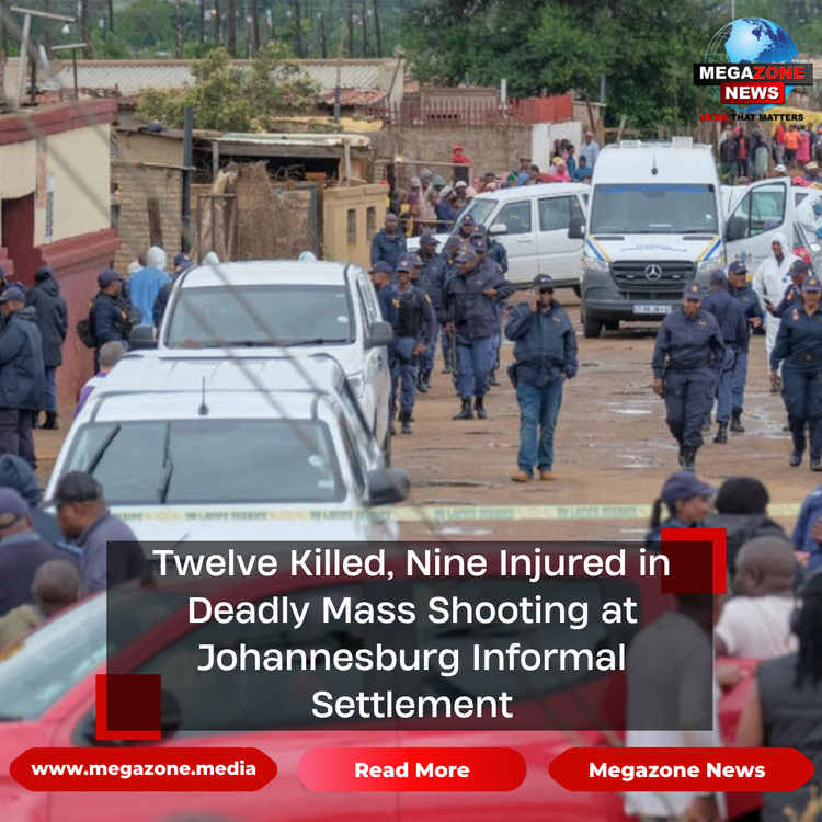 Twelve Killed, Nine Injured in Deadly Mass Shooting at Johannesburg Informal Settlement