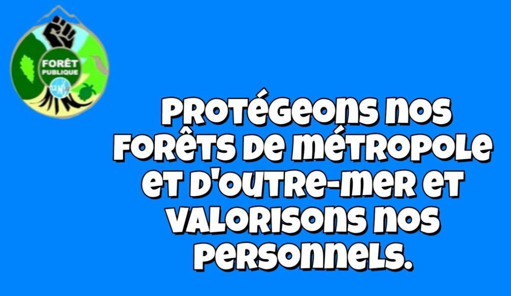 Protégeons nos forêts et valorisons nos personnels