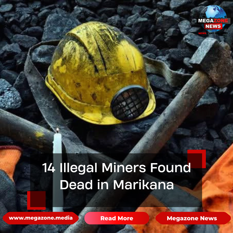 14 Illegal Miners Found Dead in Marikana