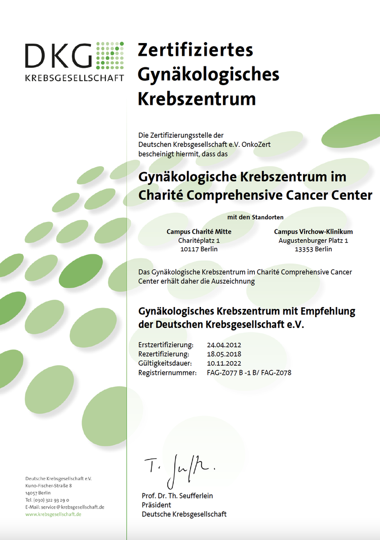 Zertifiziertes Gynäkologisches Krebszentrum