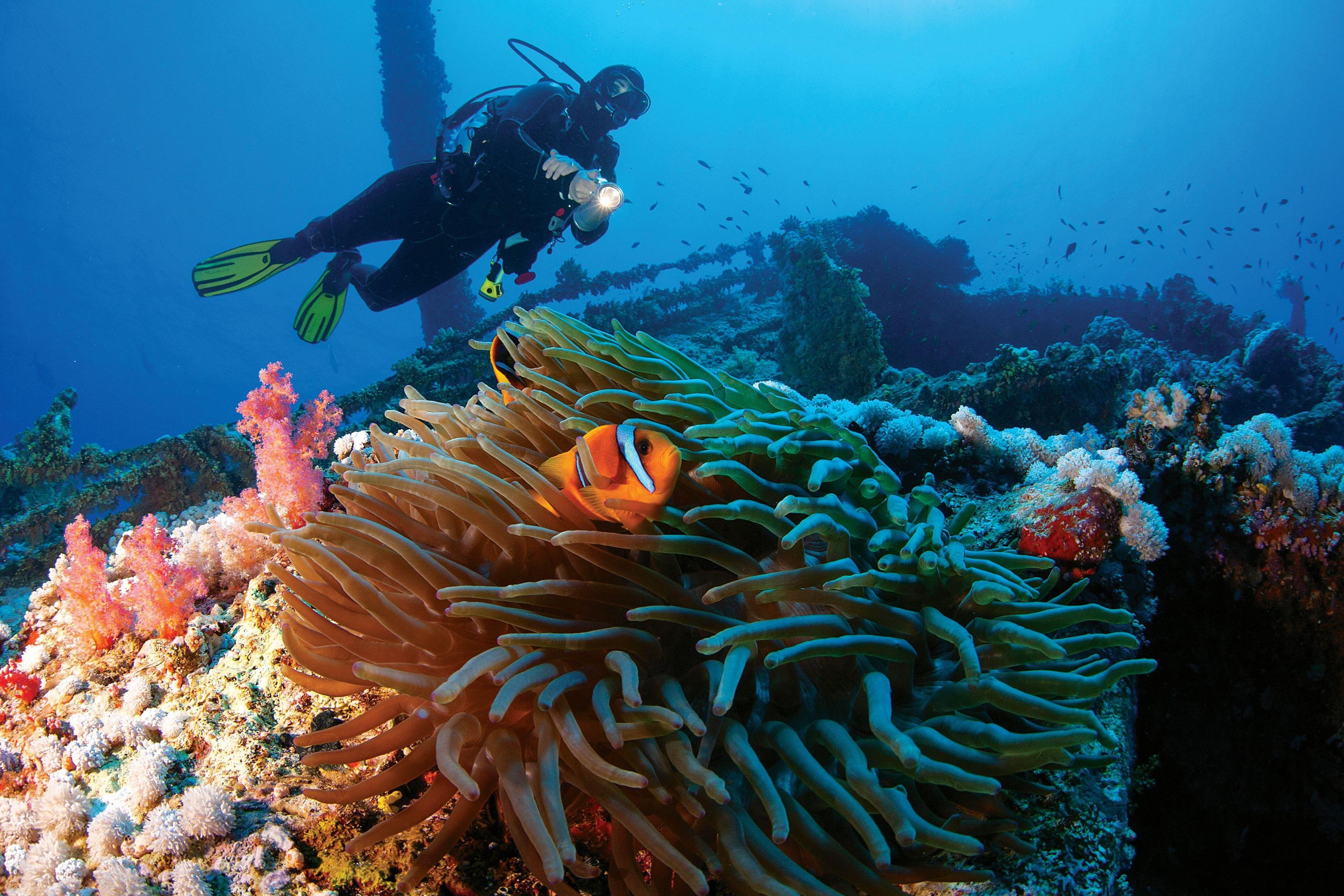 Diving Center