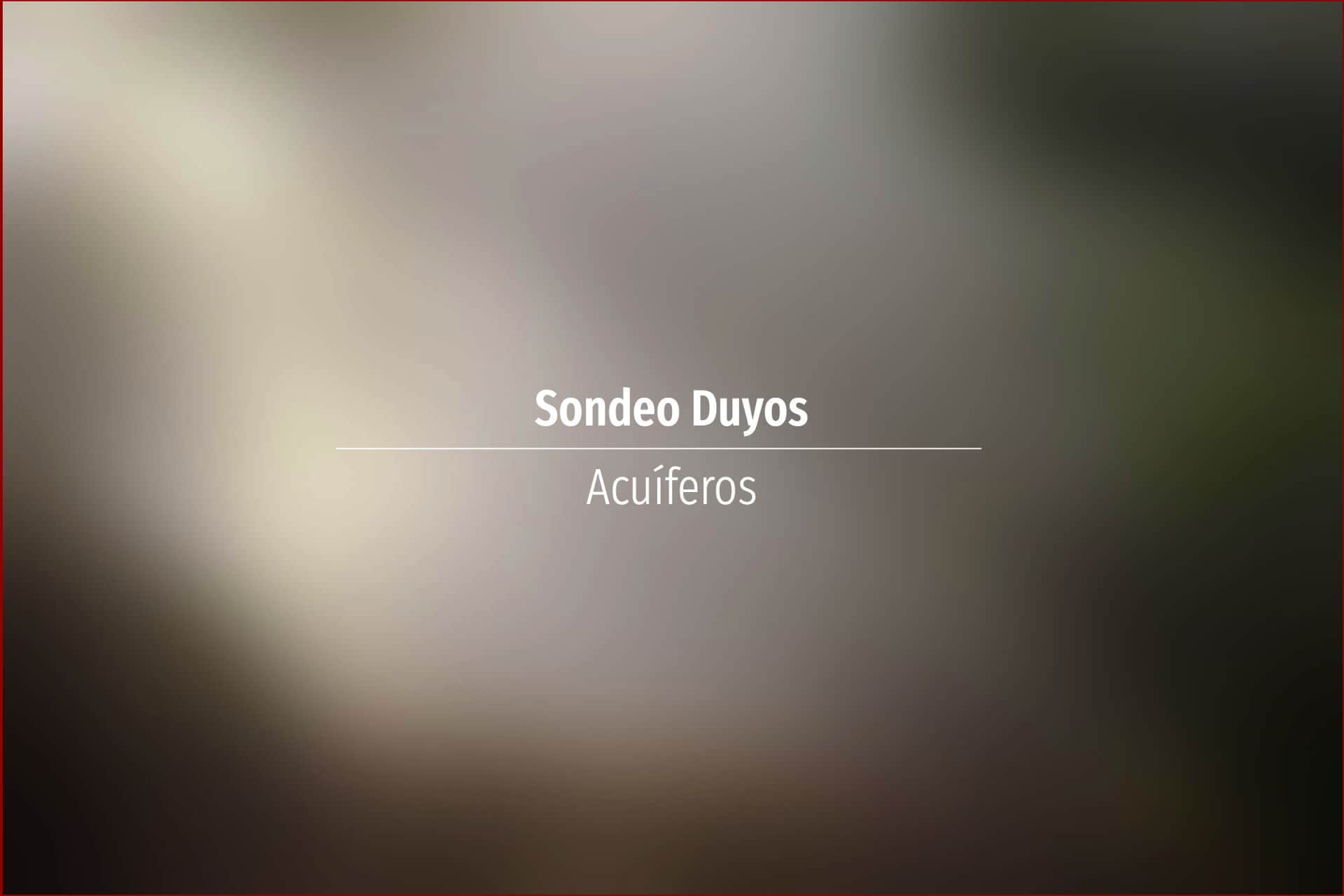 Sondeo Duyos