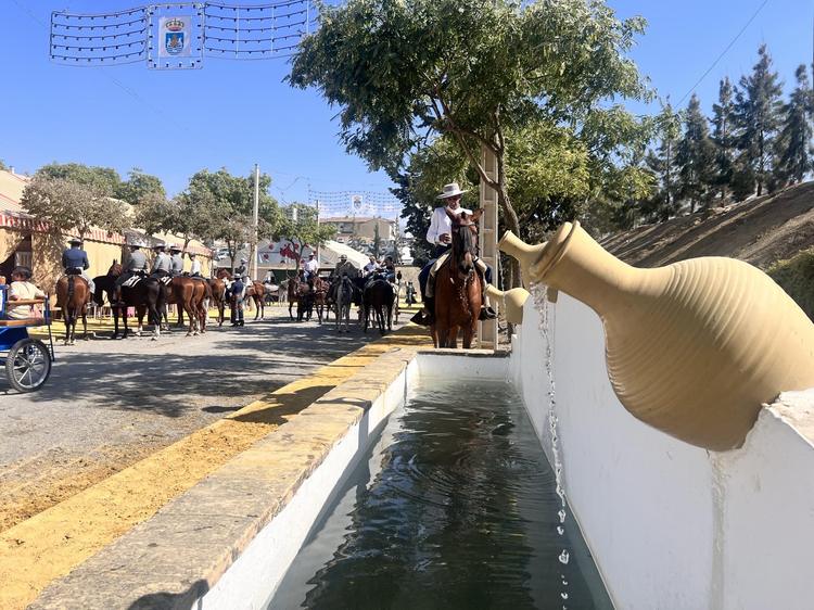 Hasta el 4 de septiembre se puede solicitar la autorización del paseo de caballos y enganches para la Feria y Fiestas Patronales 2026