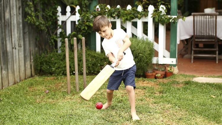 What's next in this Game of Backyard Cricket?