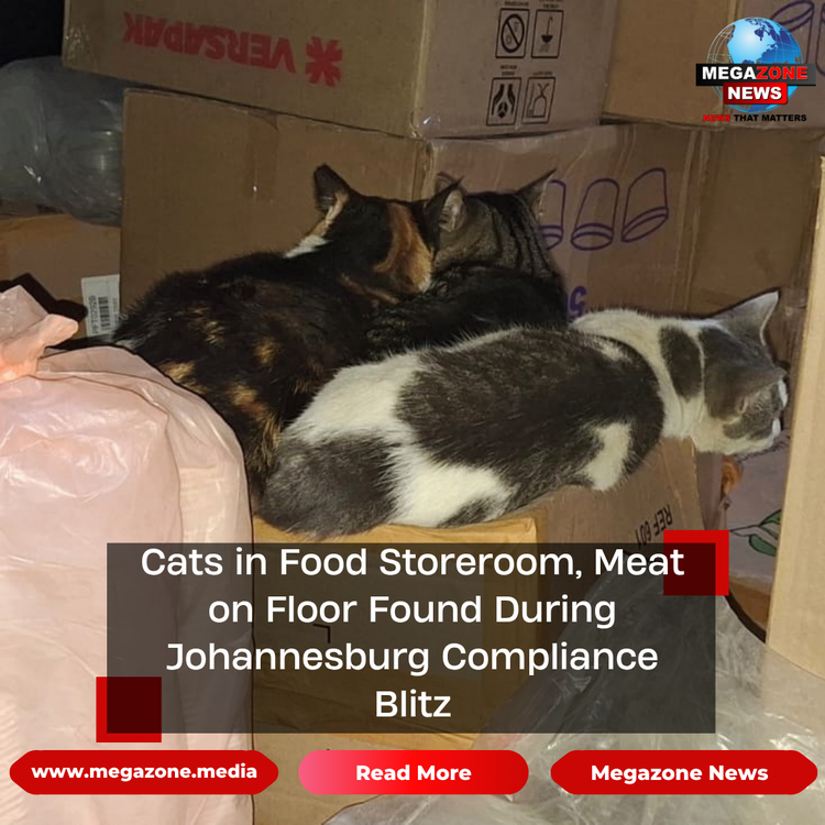 Cats in Food Storeroom, Meat on Floor Found During Johannesburg Compliance Blitz