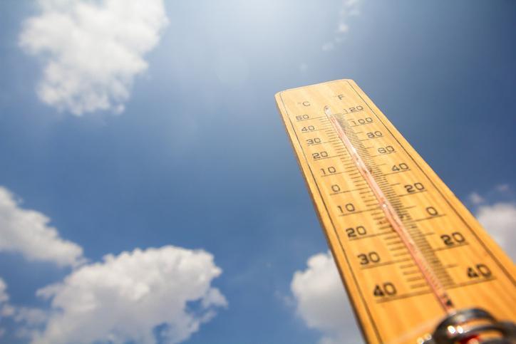 En pleine canicule l’état assèche EDF !