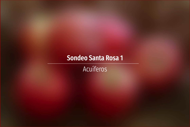 Sondeo Santa Rosa 1