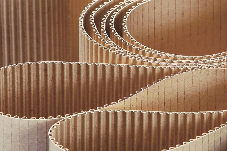 Palm converts its paper mill in King’s Lynn in the UK to corrugated case material