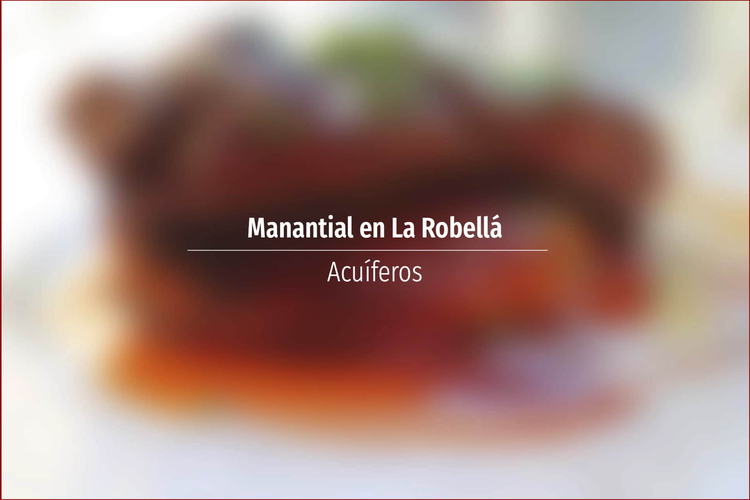 Manantial en La Robellá