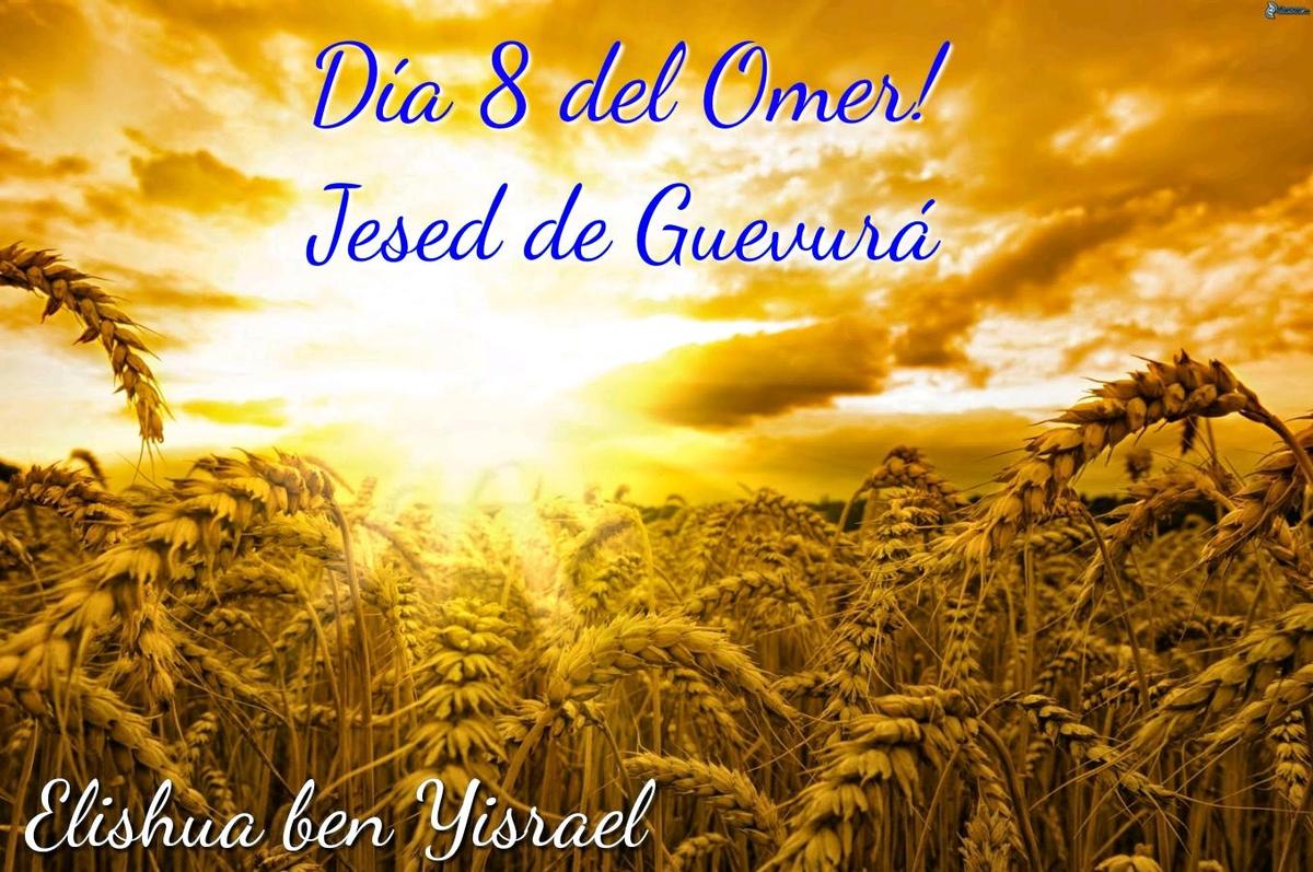 "Día 8 del Omer"!!!!