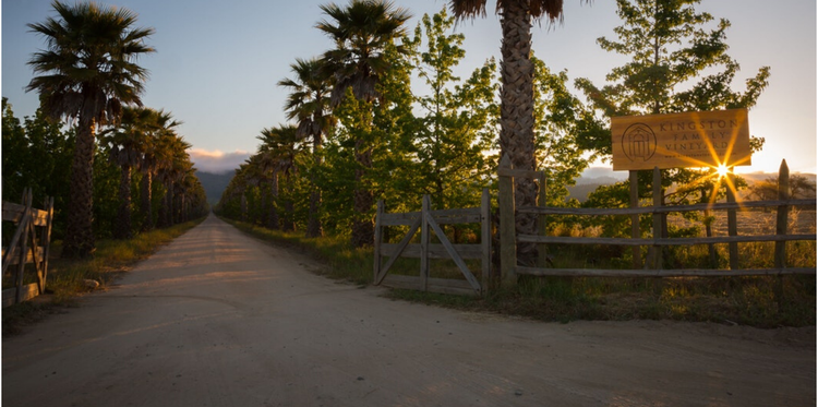 Kingston family vineyards