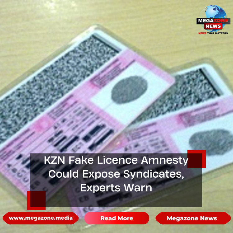 KZN Fake Licence Amnesty Could Expose Syndicates, Experts Warn
