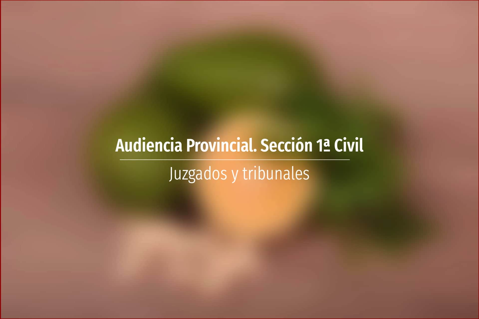 Audiencia Provincial. Sección 1ª Civil
