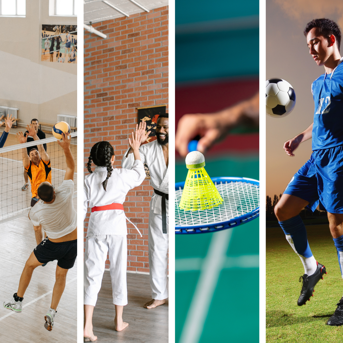  Volley Ball / Ping Pong / Badminton / Karaté  / Futsal