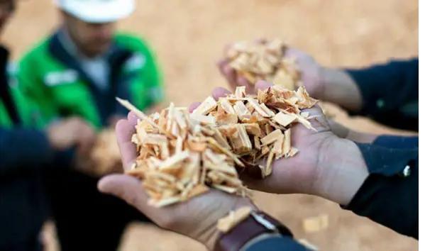 Valmet to deliver wood handling line to The Price Companies to secure reliable, high-quality wood chip supply