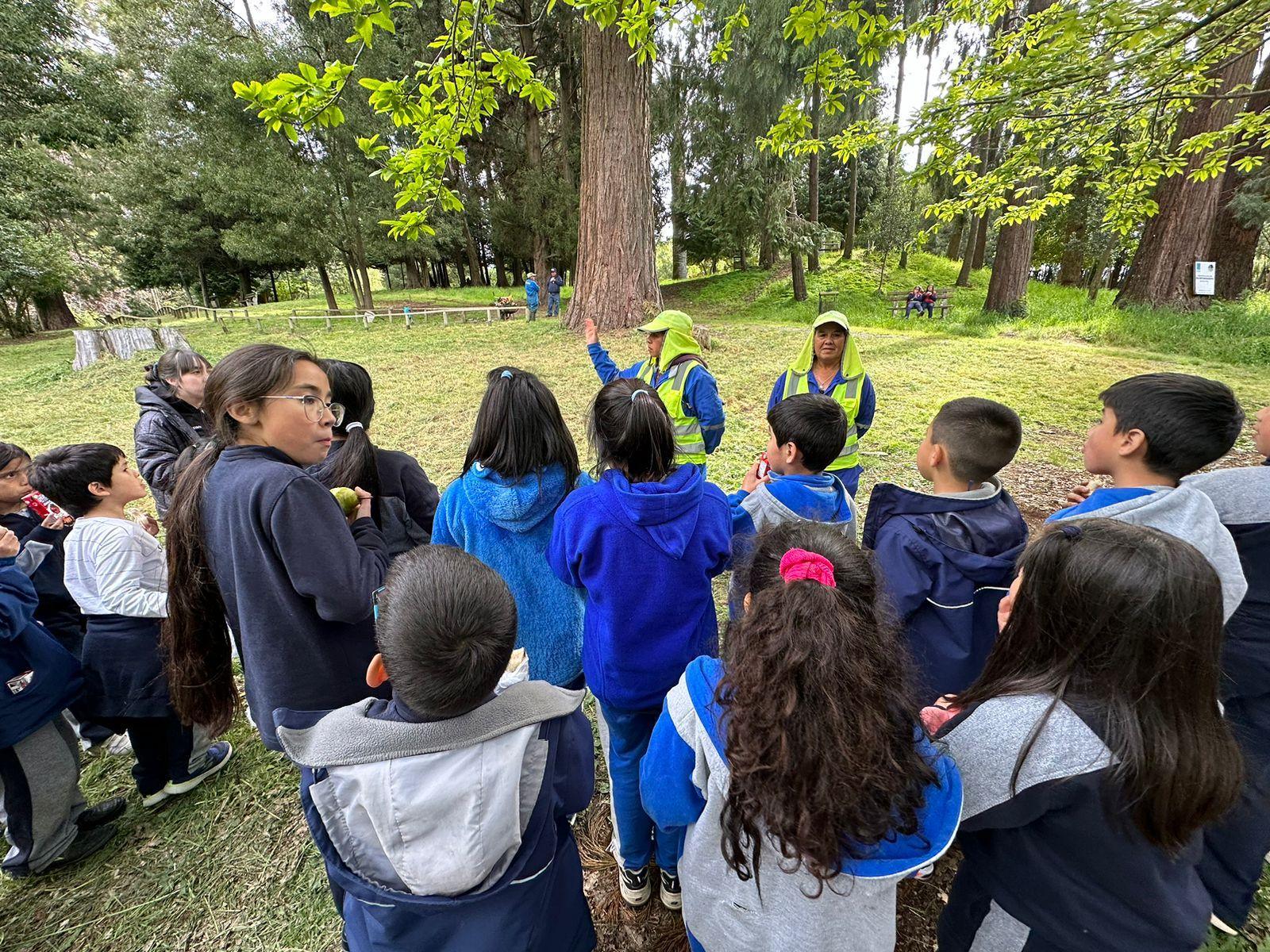 Parque Botánico Sector de Riachuelo, Río Negro – App Chiloé Turismo en la Región de Los Lagos en Osorno, Osorno, Sur de Chile
