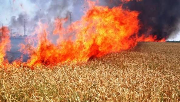 Няма данни за умишлен палеж за пожара на посеви в неделя край Стара Загора