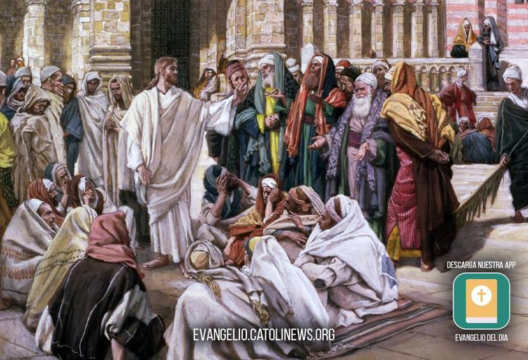 Daily Reflection on the Gospel of Saturday, May 30, 2026