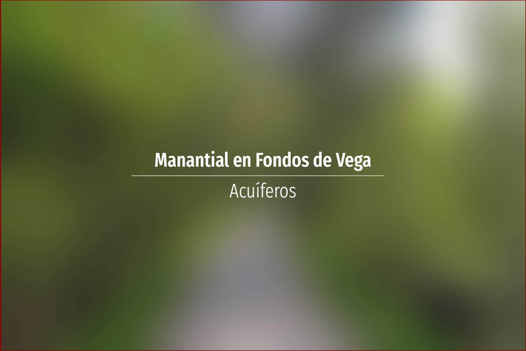 Manantial en Fondos de Vega