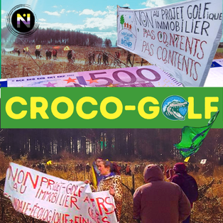 CROCO-GOLF !