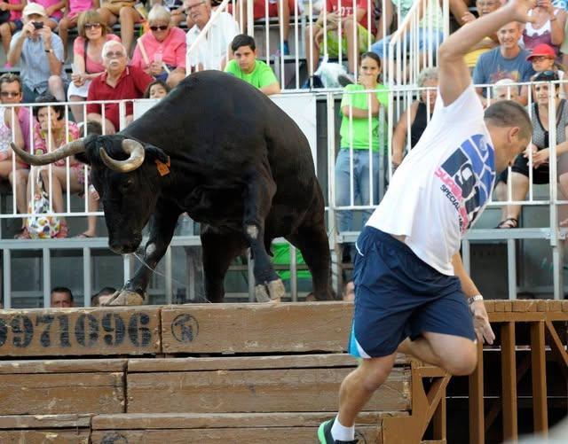 L’Ajuntament del Verger nega qualsevol error burocràtic en la suspensió de l’entrada de bous dels Quintos 