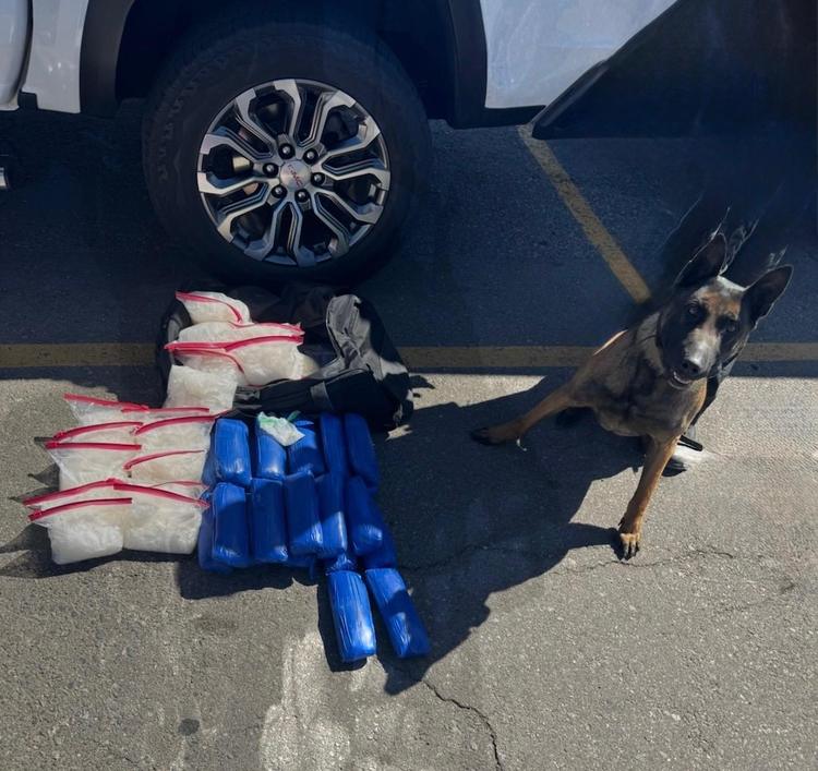 WPD K9 alerts to dangerous drugs during traffic stop