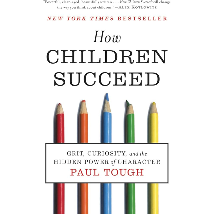 Sampul How Children Succeed