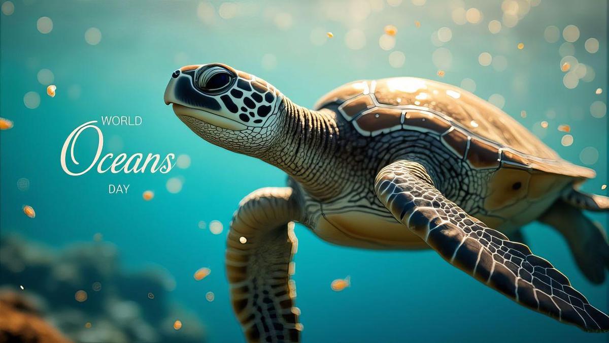 World Oceans Day