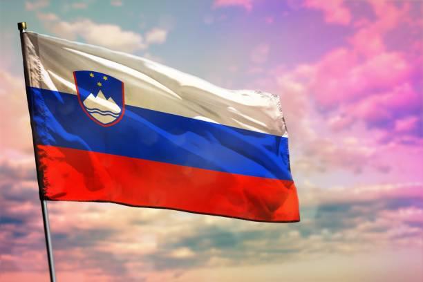 Licence 3 PPPE : Stage Erasmus+ 2026 en Slovénie
