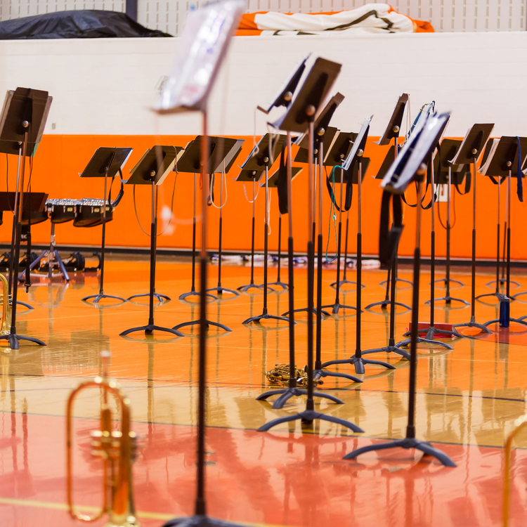 What does Music education look like when you take away the students and the classroom?