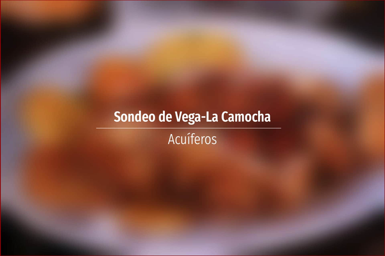 Sondeo de Vega-La Camocha