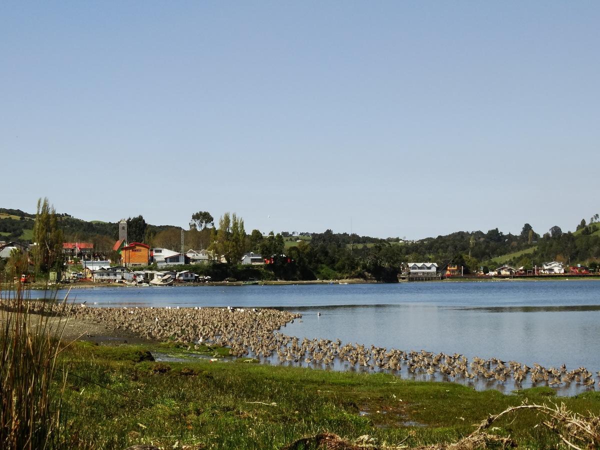 Humedal de Curaco en Curaco De Velez, Chiloé, Sur de Chile