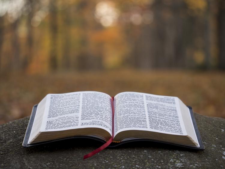Online Bible Study - Kebijaksanaan berdasarkan Alkitab