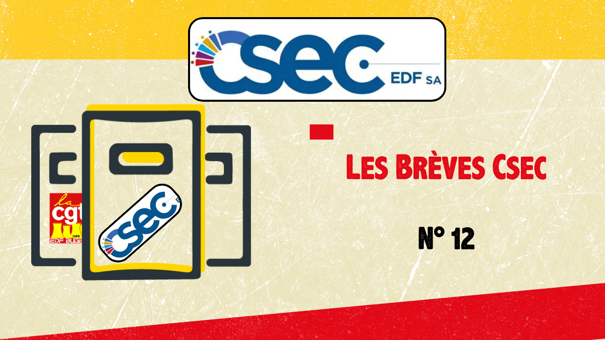 Les brèves Csec : n°12 