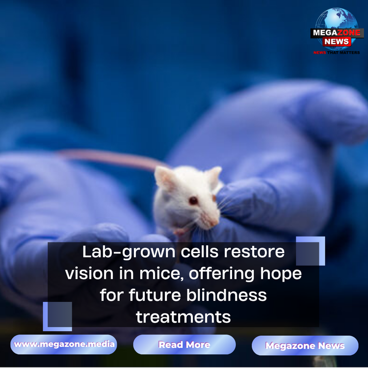 Lab-grown cells restore vision in mice, offering hope for future blindness treatments