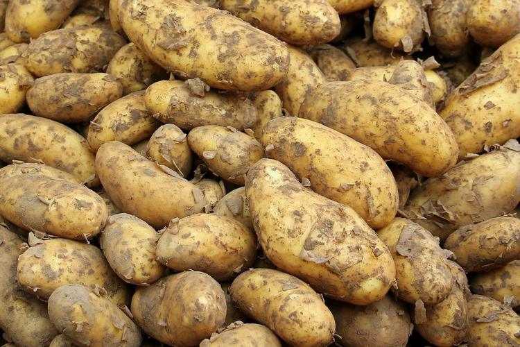 La compra y almacenamiento de las patatas