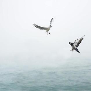 Respiração restauradora em 3 partes para uma pausa