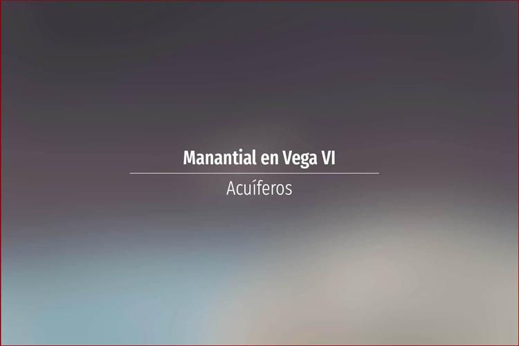 Manantial en Vega VI