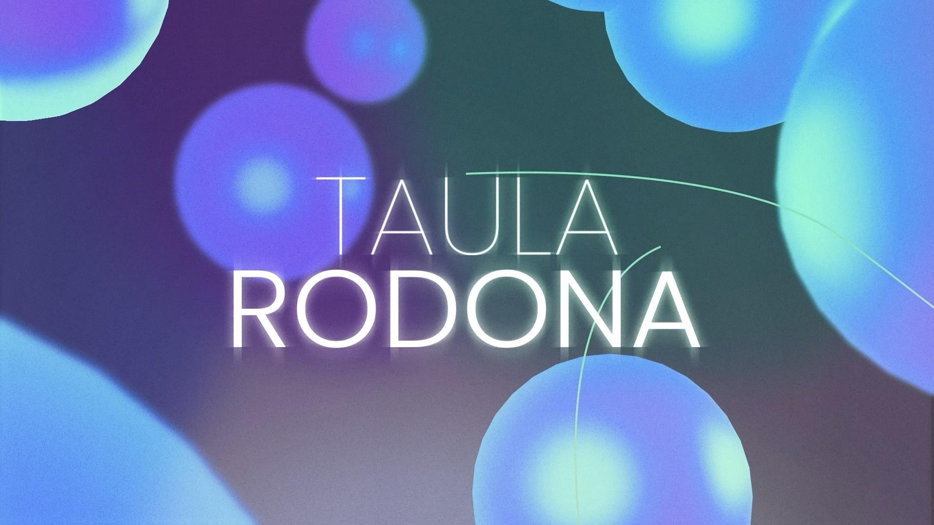 TAULA RODONA. Els joves i la política