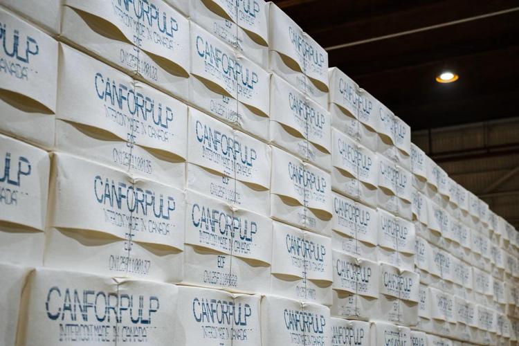 Canfor announces closure of Northwood Pulp Mill in British Columbia