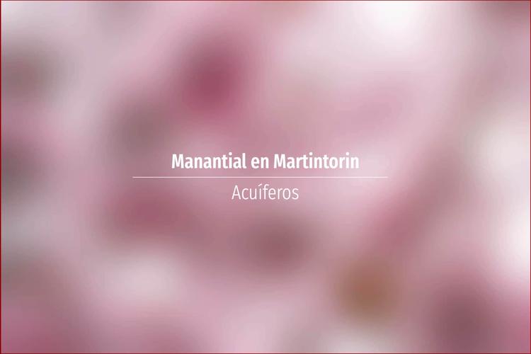 Manantial en Martintorin