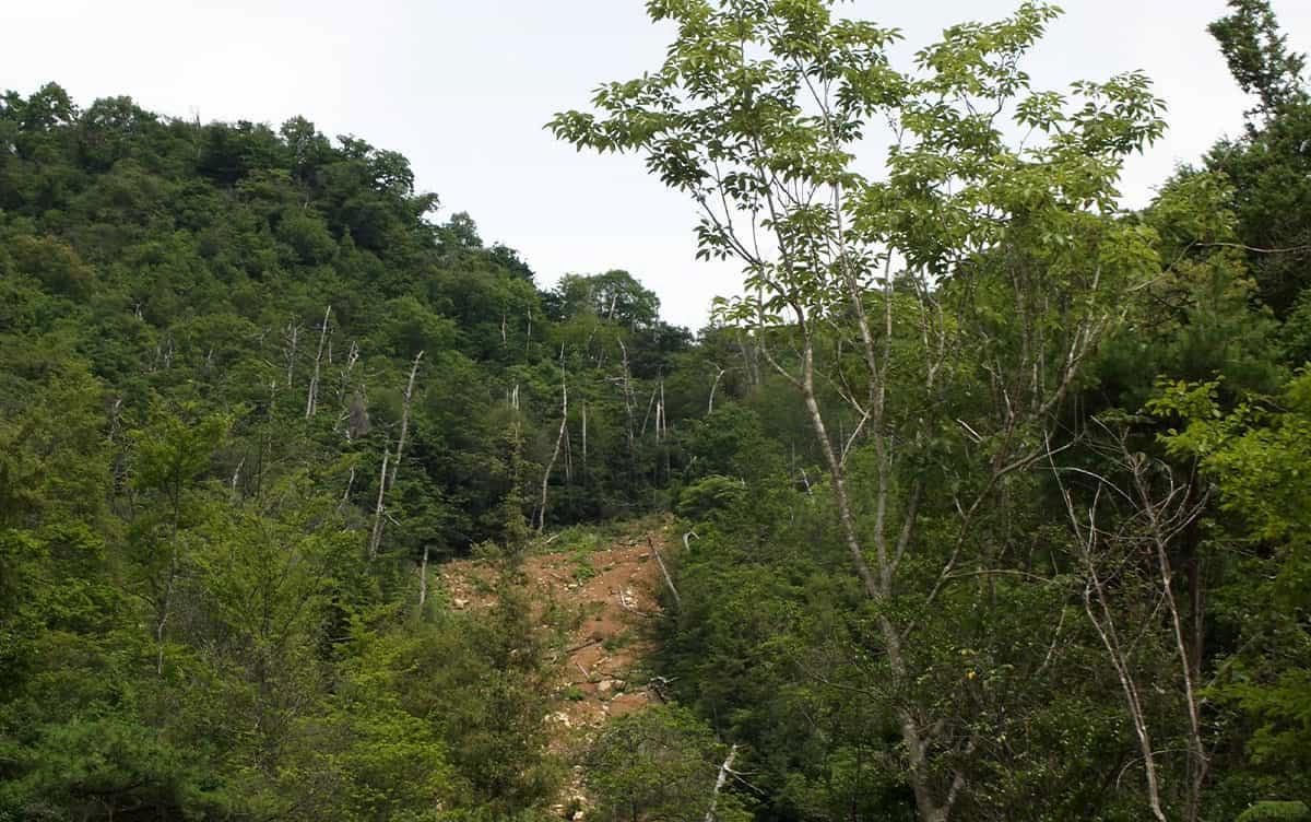 Study finds medieval castle earthworks still affect landslide risk in Japan